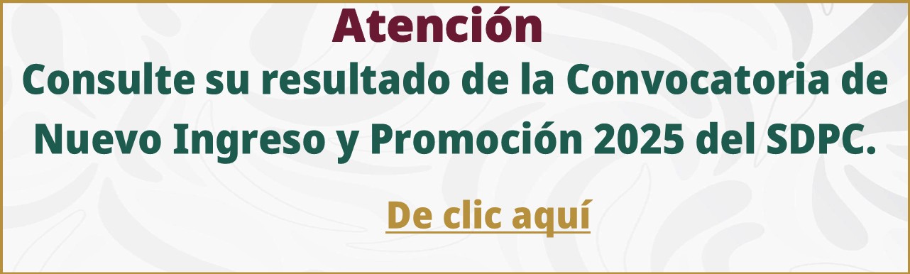 Dictamen definitivo 2025